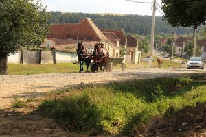 Ministrul Oros al Agriculturii confirmă ordinul MAI!