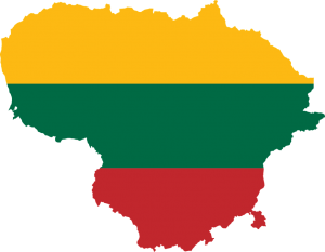 România a realizat o nouă misiune umanitară trimițând 20.000 de măşti de protecţie în Lituania, după cum anunţă IGSU