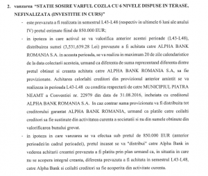 Sursa foto: Planul de reorganizare Perla Invest SRL