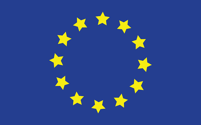 Steagul european