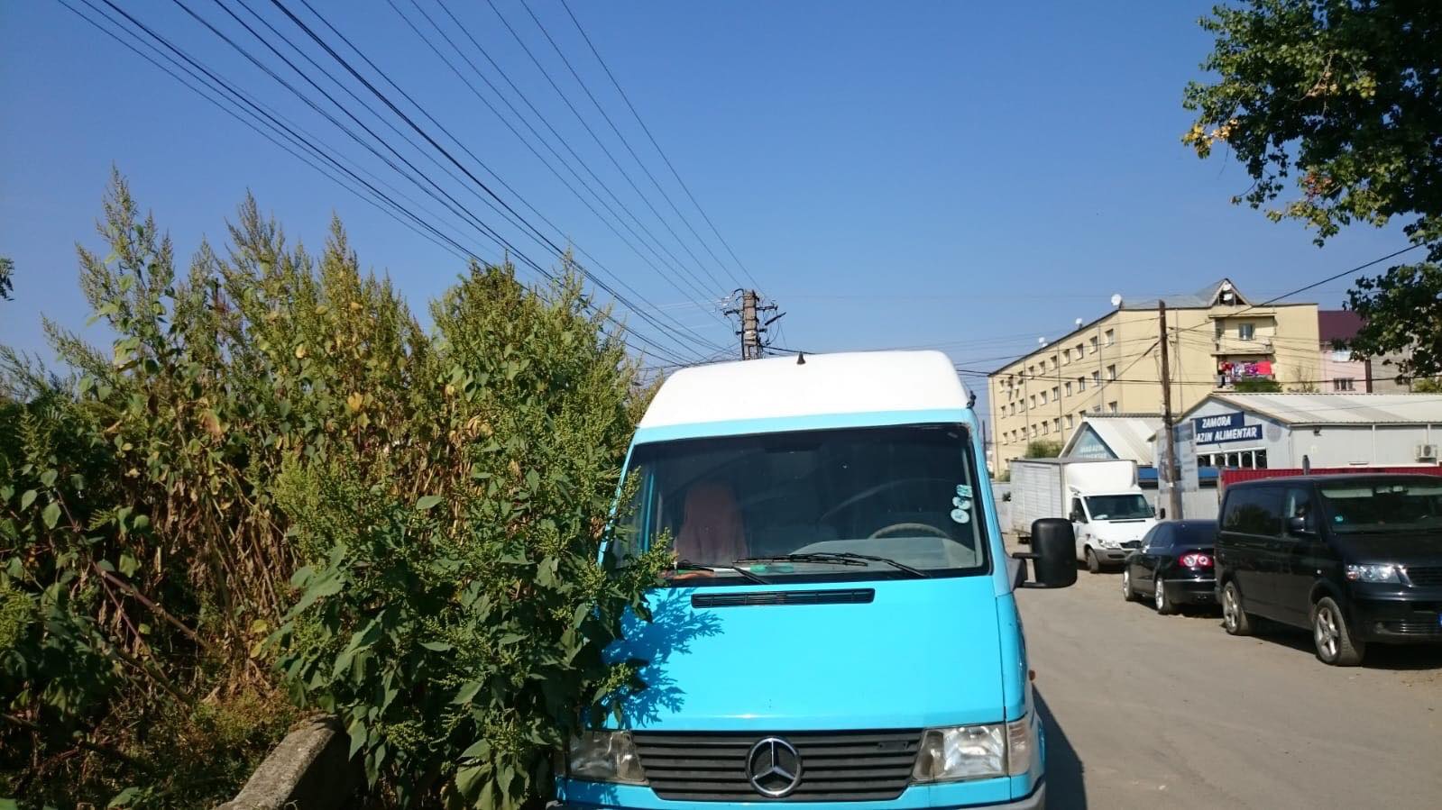 La asistații sociali curățenie, la contribuabilul bârlădean junglă