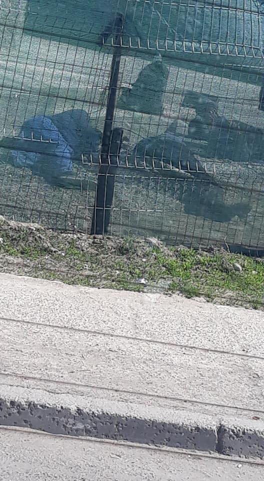 Poz(N)a zilei - Șșș, nu stricați somnul celor plătiți de noi