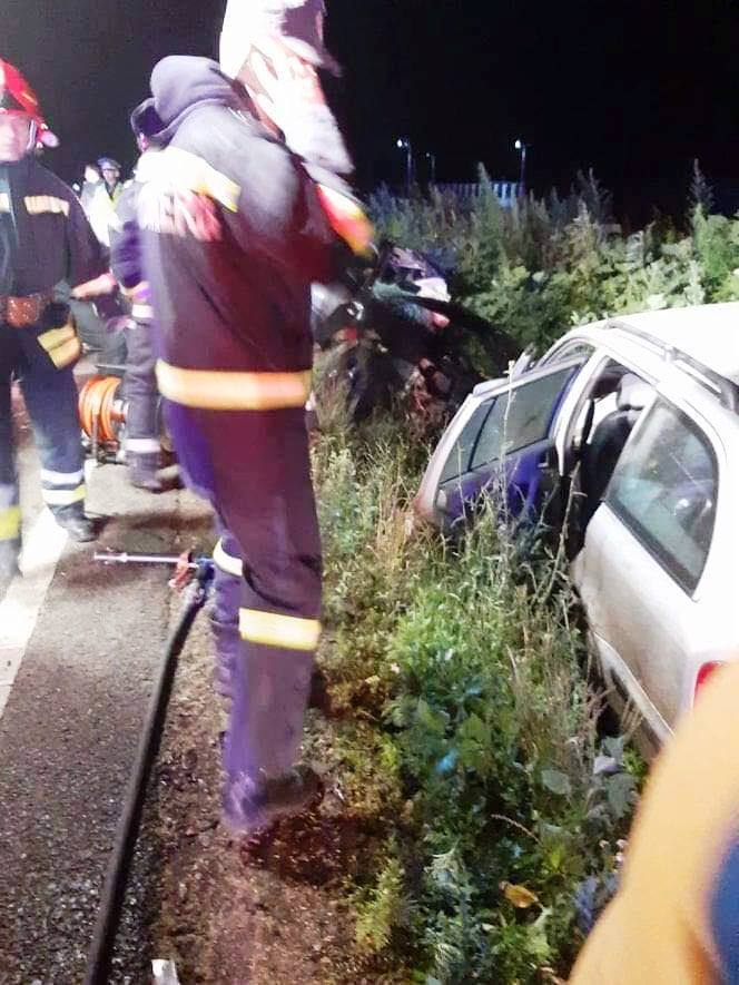 Carnagiu pe DE581 în dreptul localității Bădeana