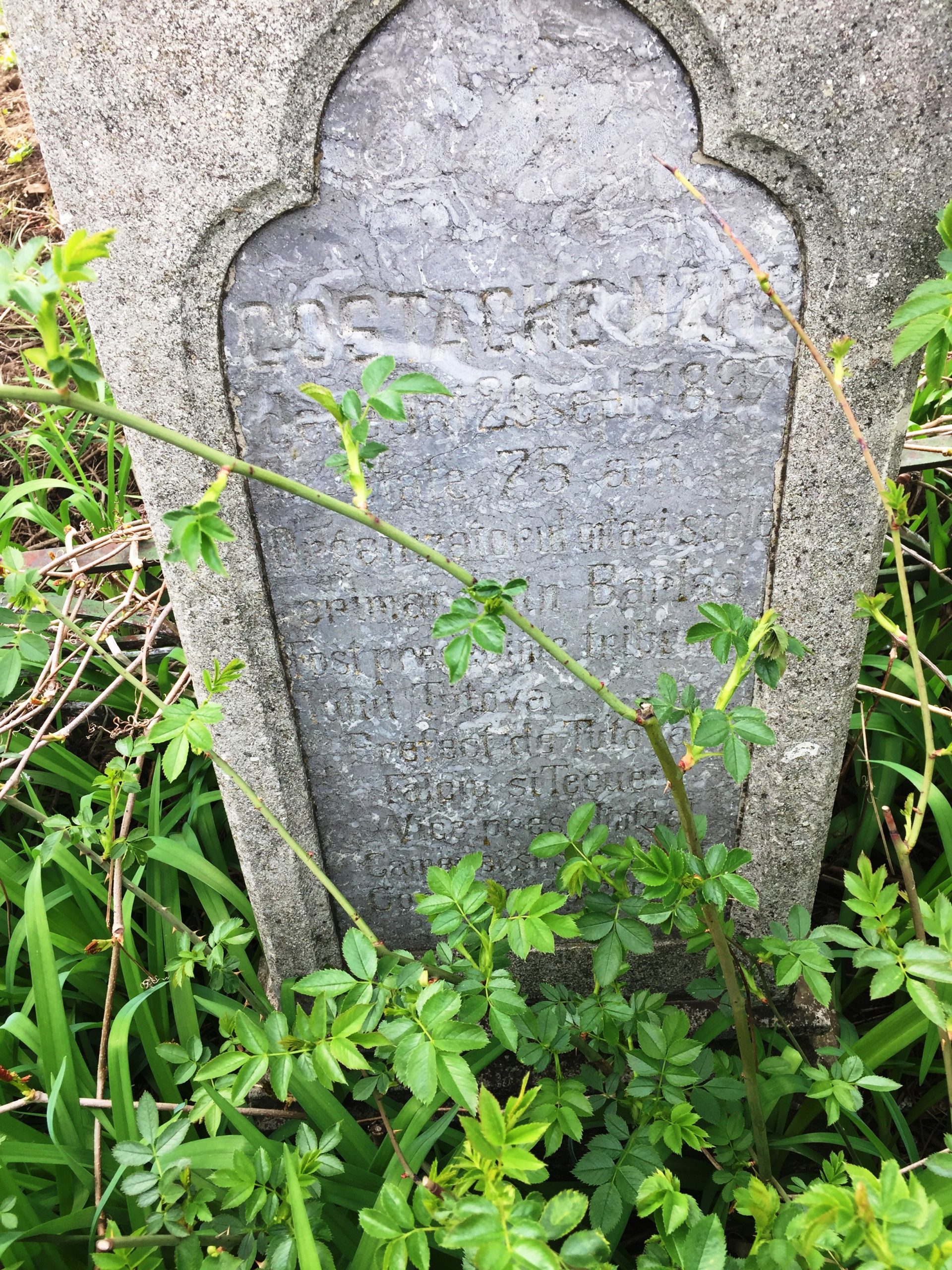 Cimitirul Eternitatea din Bârlad - poveștile vii ale morților
