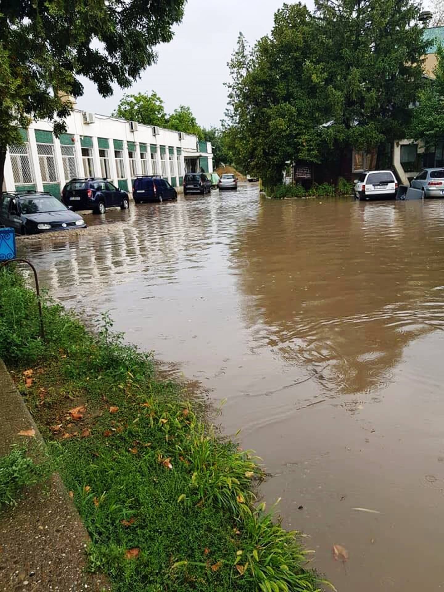 POZ(N)A ZILEI - în loc de Aquavas e Aqualand