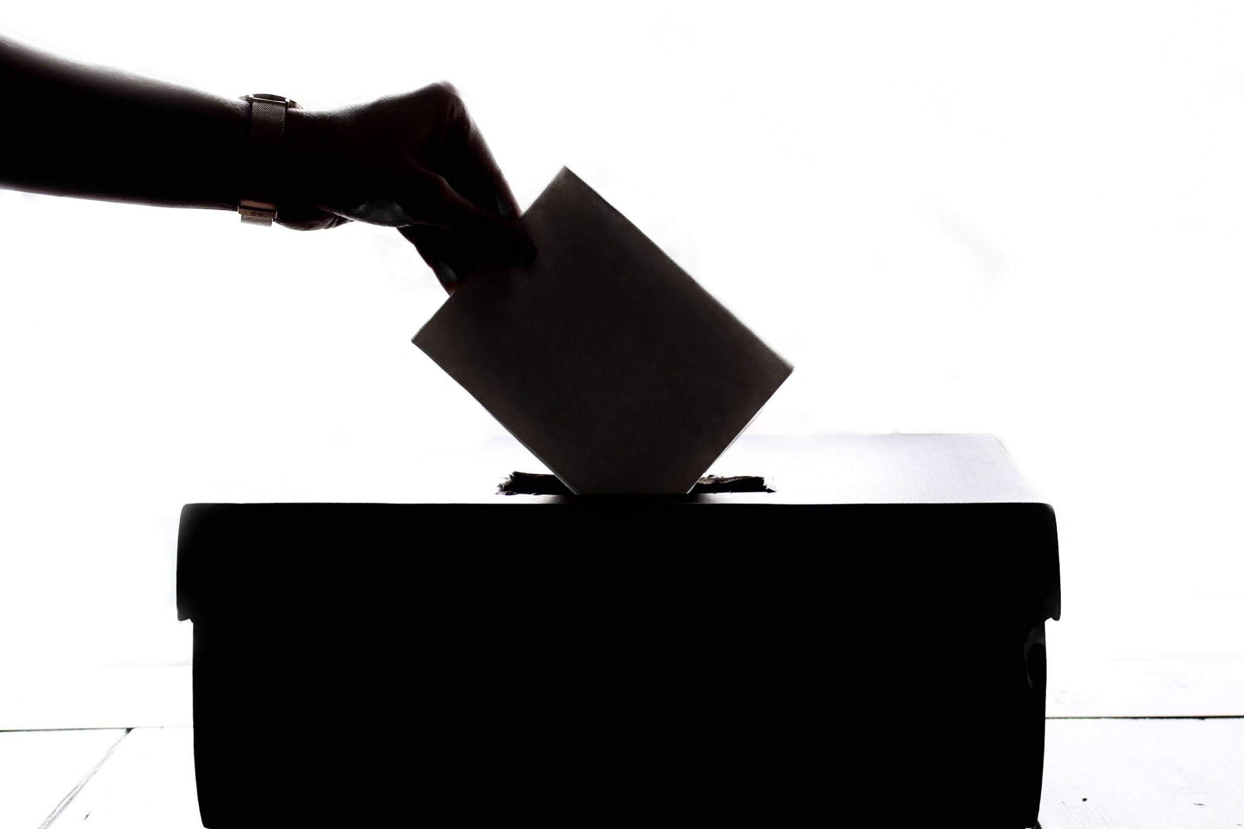 Se aleg președinții secțiilor de votare
