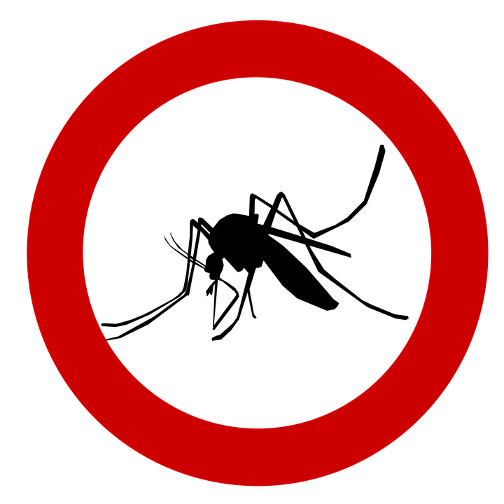 Operațiunea “moartea țânțarilor” continuă