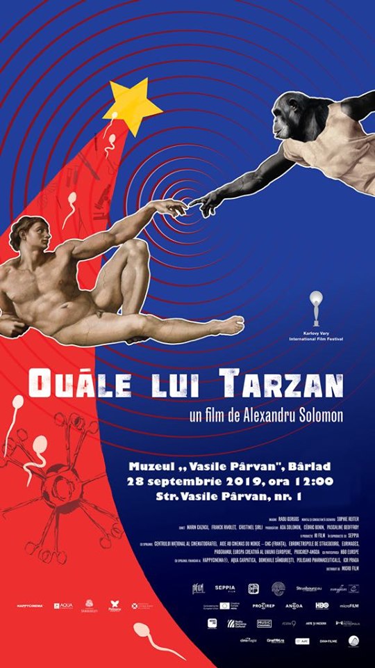 “Ouăle lui Tarzan” la muzeul bârlădean