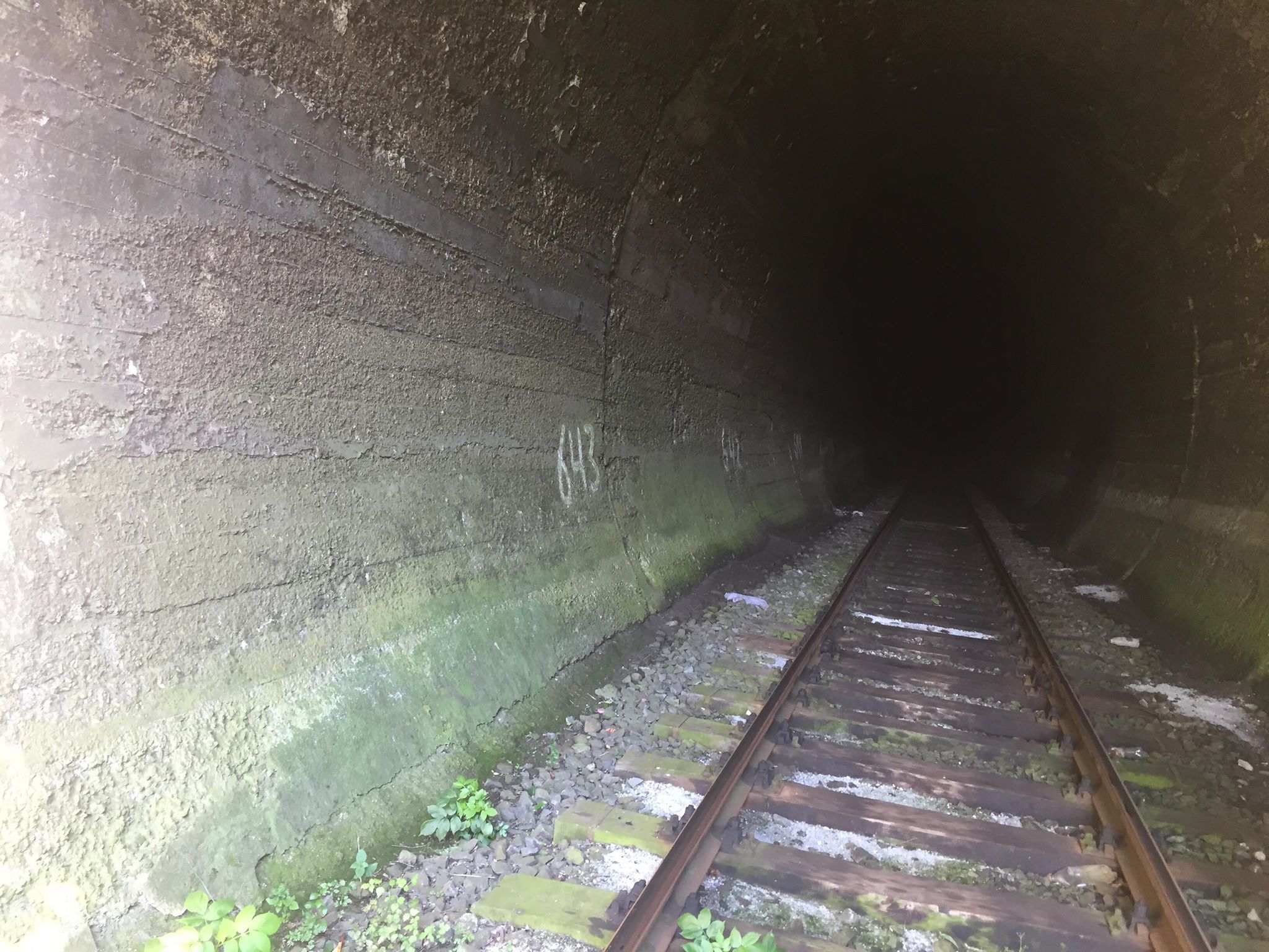 Tunelul de la Tălășmani,cel de al doilea tunel din România lăsat în voia sorții