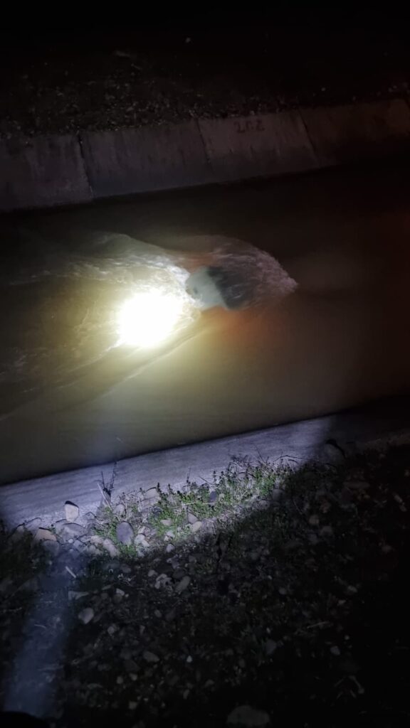 Autoturism căzut într-un canal betonat