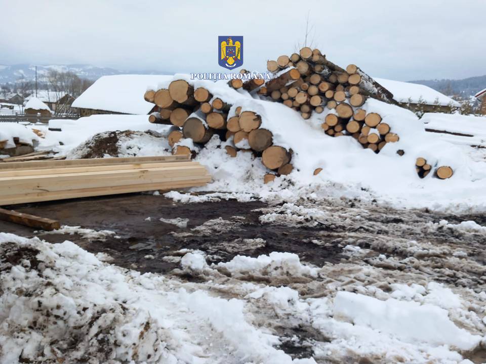 acte ilicite în domeniul silvic