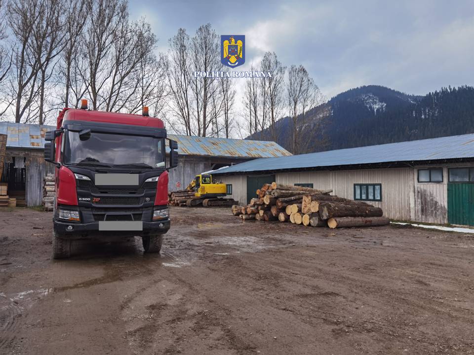 transport ilegal de material lemnos