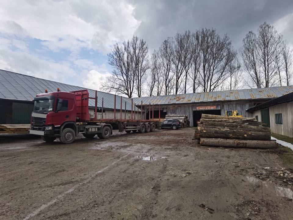 transport ilegal de material lemnos