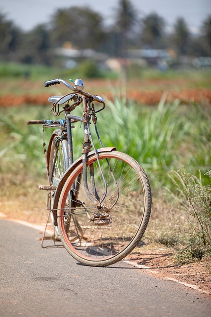A căzut de pe bicicletă A căzut de pe bicicletă