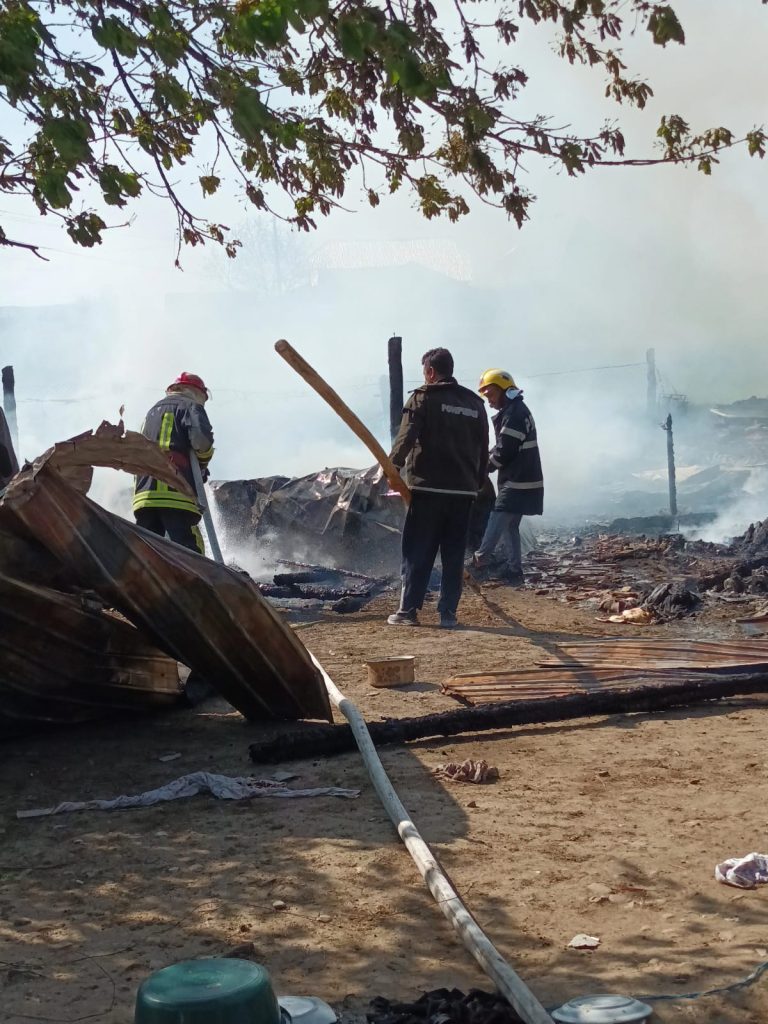 Incendiu în localitatea Arbore