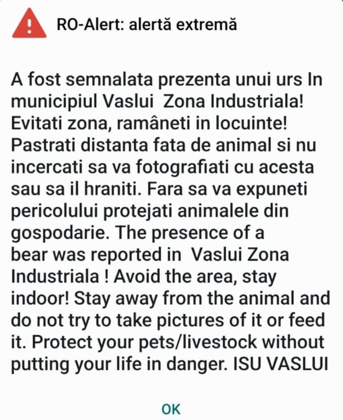 A fost semnalată prezența unui urs în Zona Industrială a municipiului Vaslui