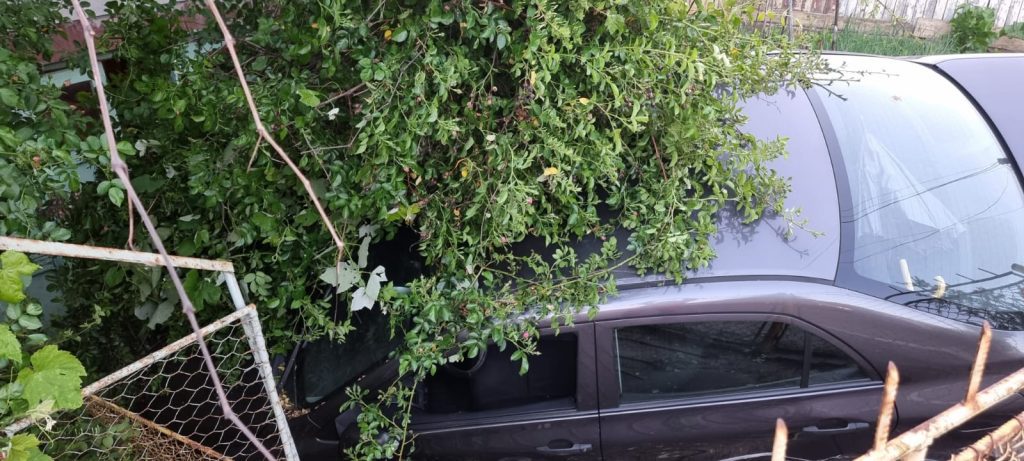 Un autoturism a ieşit în afara părţii carosabile 