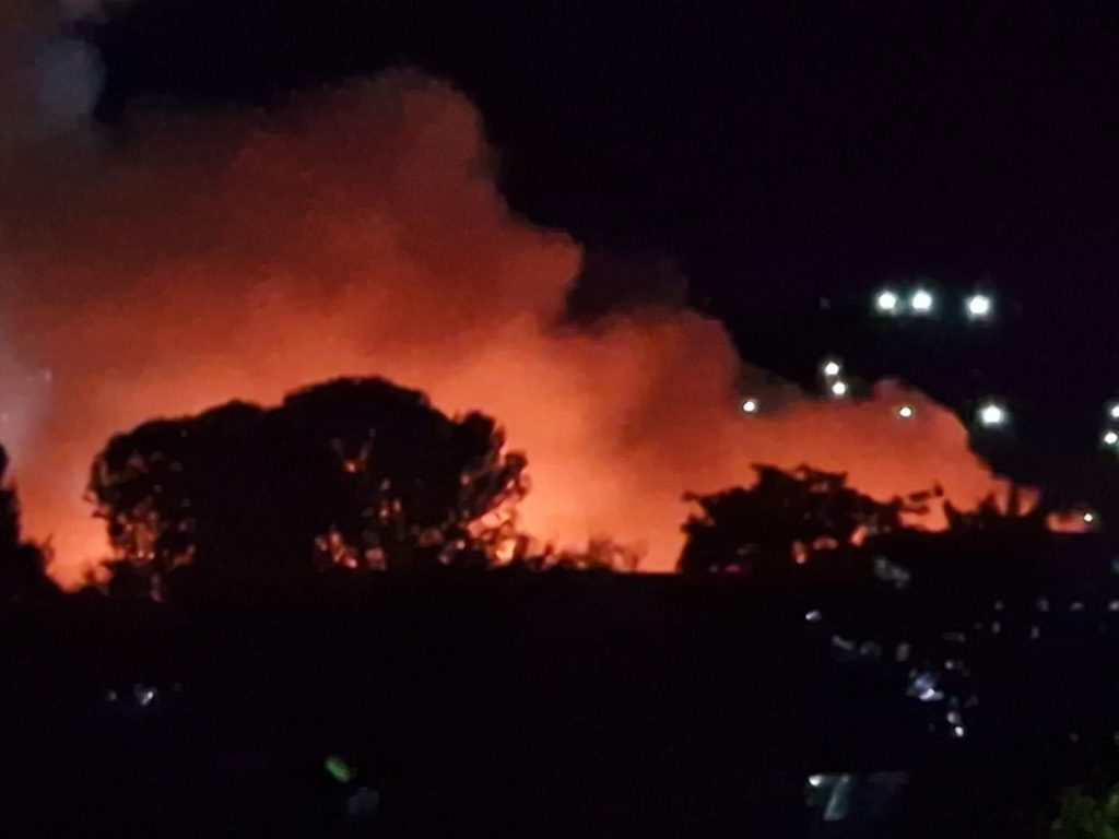 Incendiu în localitatea Șcheia, la o hală