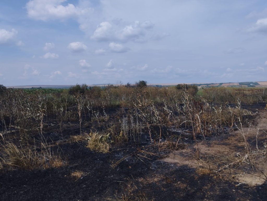 Un incendiu a izbucnit la vegetația uscată din localitatea Zorleni