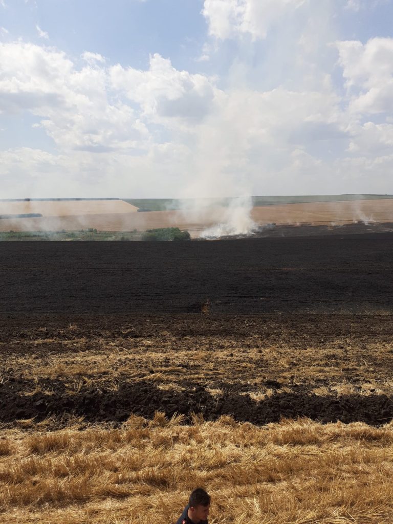 Incendiu izbucnit la vegetația uscată și un lan de grâu