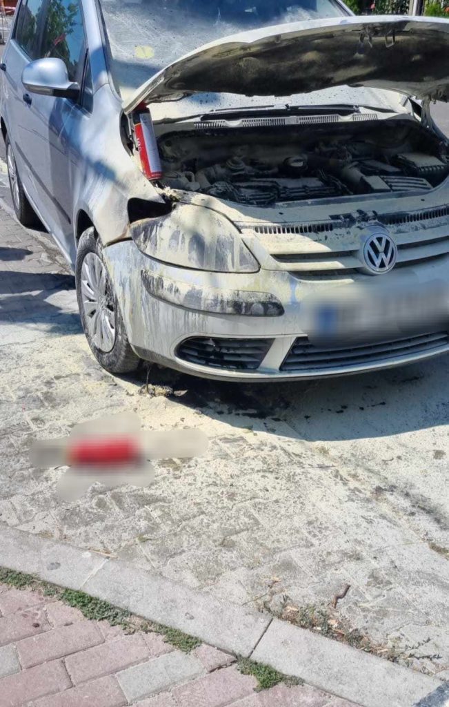 Incendii izbucnite la vegetația uscată din localitatea Parpanița