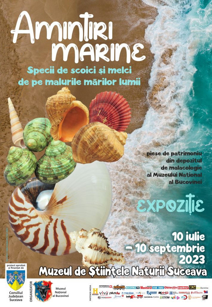 Amintiri marine. Specii de melci și scoici de pe malurile mărilor lumii