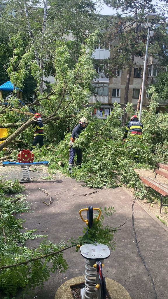 Pompierii militari ai Detașamentului Suceava au intervenit