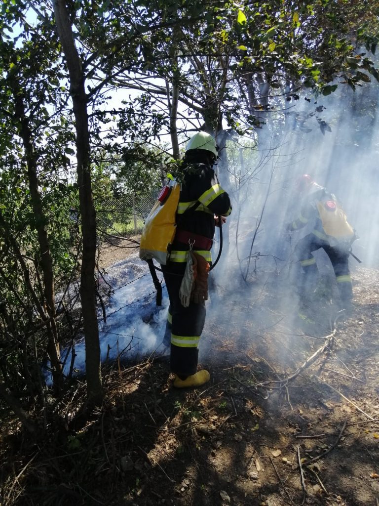 Incendiu izbucnit la vegetația uscată din municipiul Huși, la ieșirea spre localitatea Pădureni