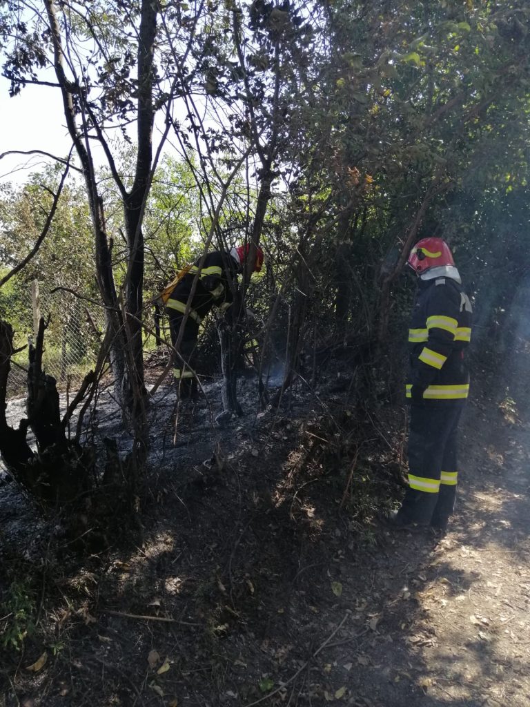 Incendiu izbucnit la vegetația uscată din municipiul Huși, la ieșirea spre localitatea Pădureni