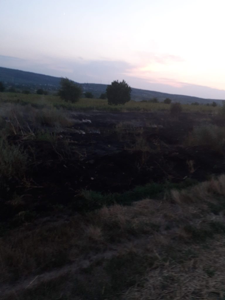 Incendiu izbucnit la vegetația uscată în municipiul Huși