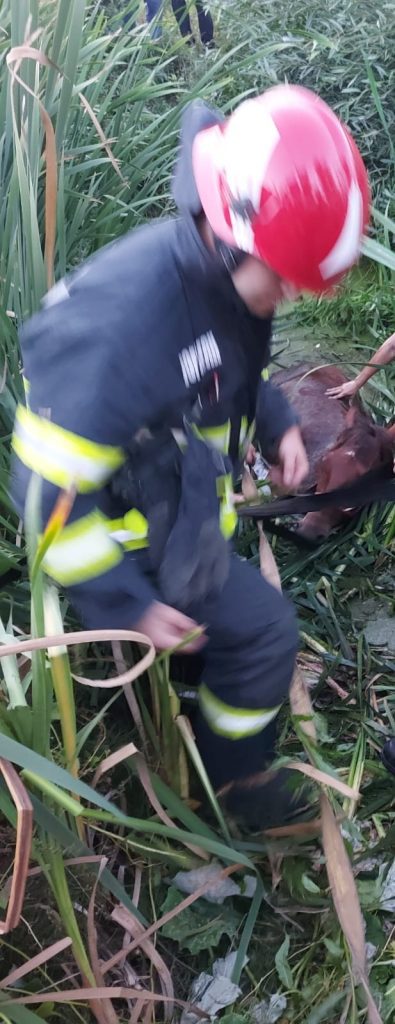 Detașamentul de pompieri Vaslui a intervenit cu două autospeciale și echipaje specializate