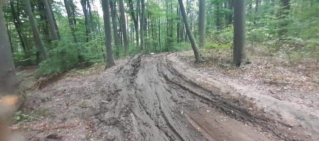 Un bărbat a murit în pădurea din apropierea localității Chițoc