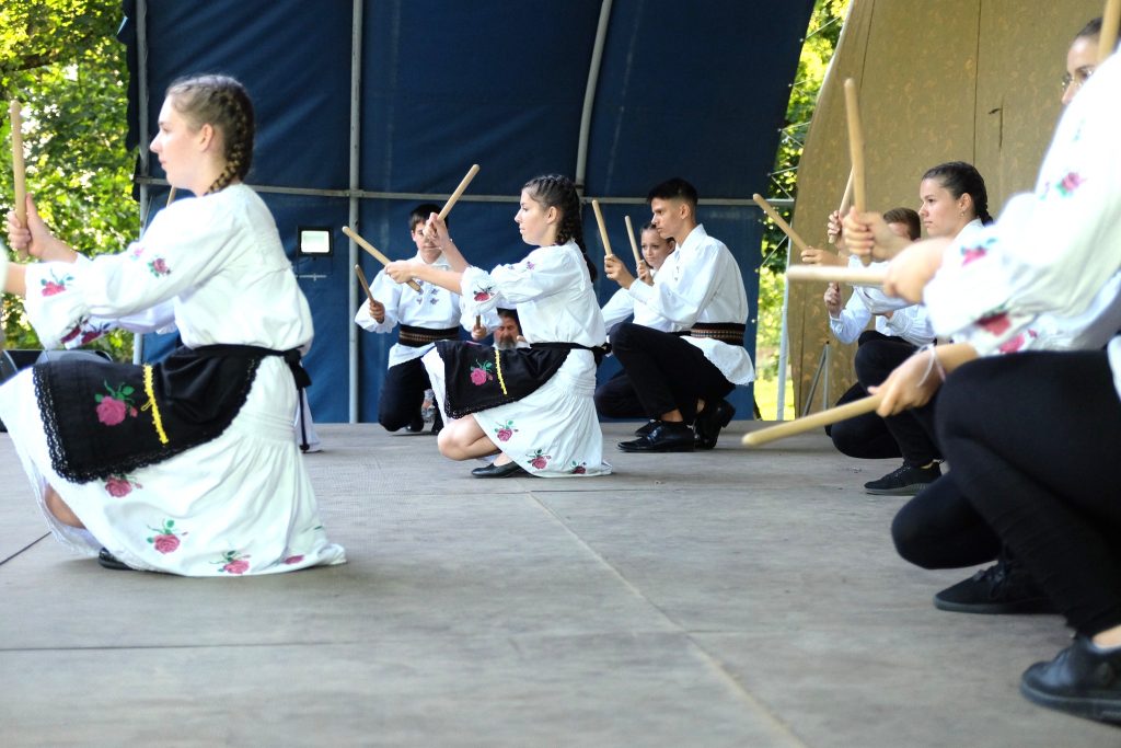 „Trecui asară pân codru”. Prin Ținutul Codrului... 