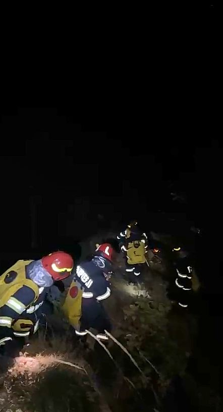 Incendiu la fondul forestier - zona Cheile Râșnoavei