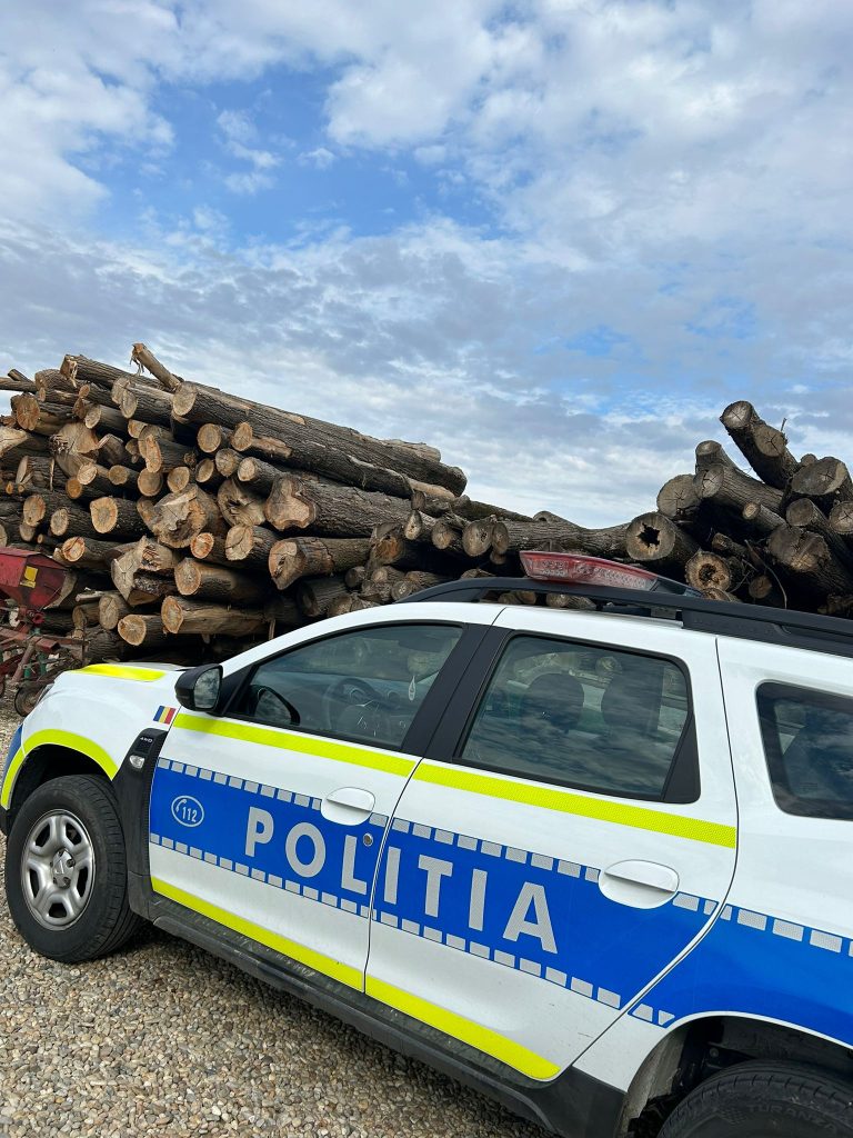 Doi transportatori de lemne din Brașov au fost sancționați