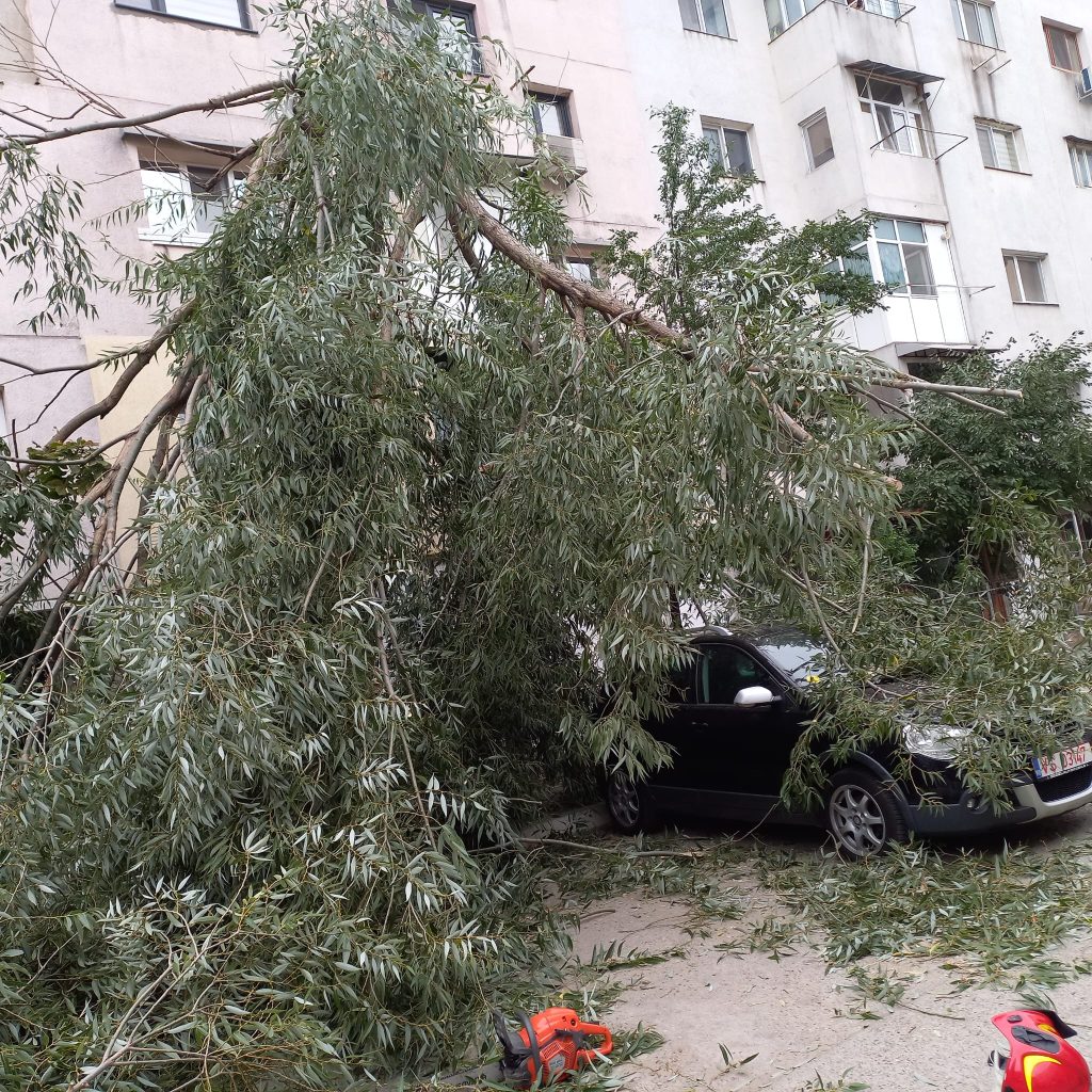 Un copac doborât de vânt a căzut peste două mașini, la Bârlad