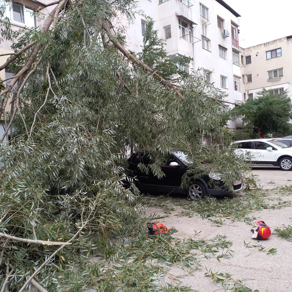 Un copac doborât de vânt a căzut peste două mașini, la Bârlad