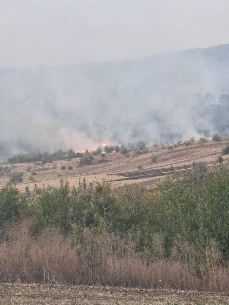 Incendiu izbucnit la vegetația uscată și mărăcinișul din localitatea Mărășeni