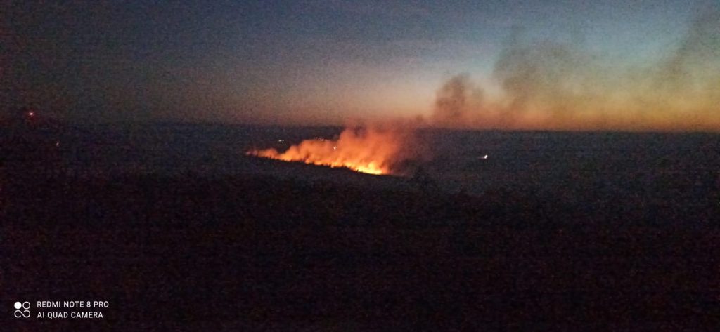 Incendiu izbucnit la vegetația uscată și mărăcinișul din localitatea Mărășeni