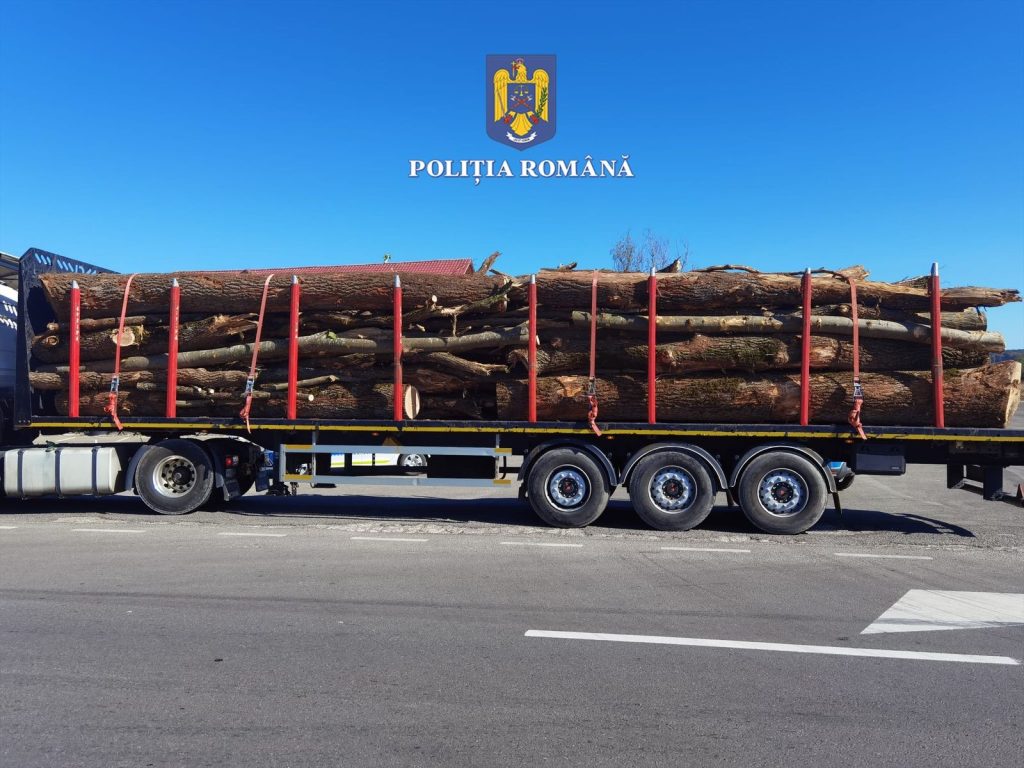 Material lemnos confiscat de către polițiștii brașoveni