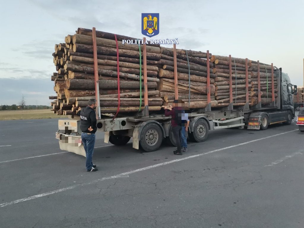 Material lemnos confiscat de polițiștii brașoveni