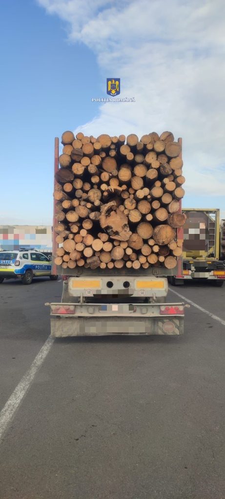 Material lemnos confiscat de polițiștii brașoveni