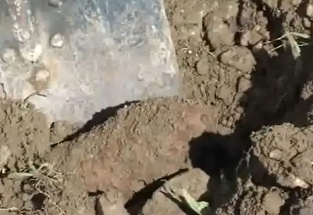 Cinci proiectile, o bombă de aruncător calibru 82 mm și o grenadă de mână defensivă