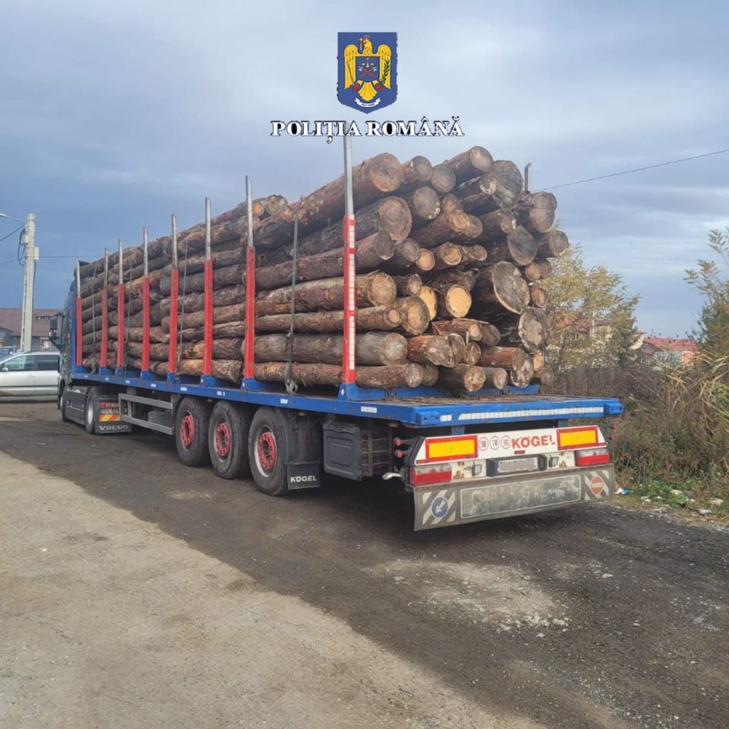 Infracțiuni constate de polițiști după interceptarea în trafic a unui camion încărcat cu material lemnos