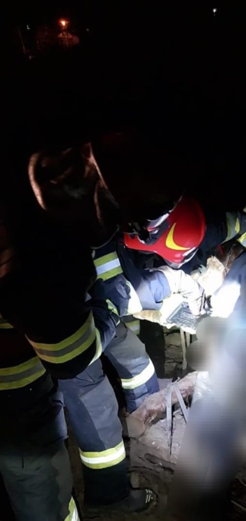 Un cal căzut pe malul râului Bârlad, salvat de pompieri 