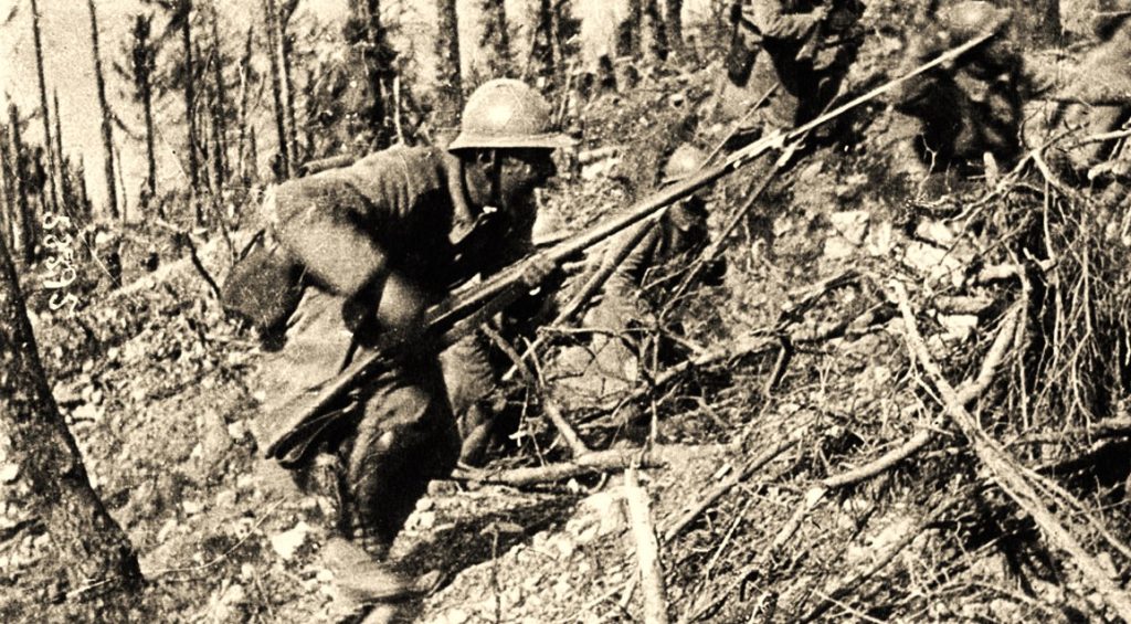 Intrarea armatei române în Basarabia în ianuarie 1918... 