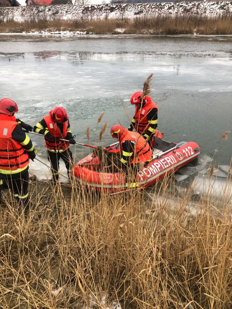 Un câine a fost salvat de la înec de către pompierii militari suceveni