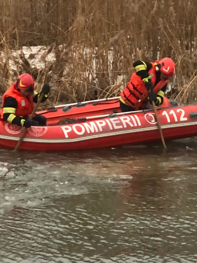 Un câine a fost salvat de la înec de către pompierii militari suceveni