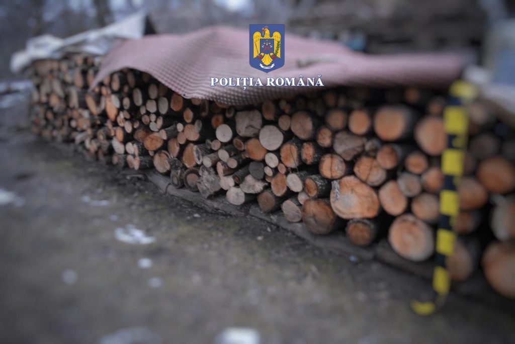 Polițiștii din Mureș au reținut doi bărbați pentru tăiere ilegală de arbori