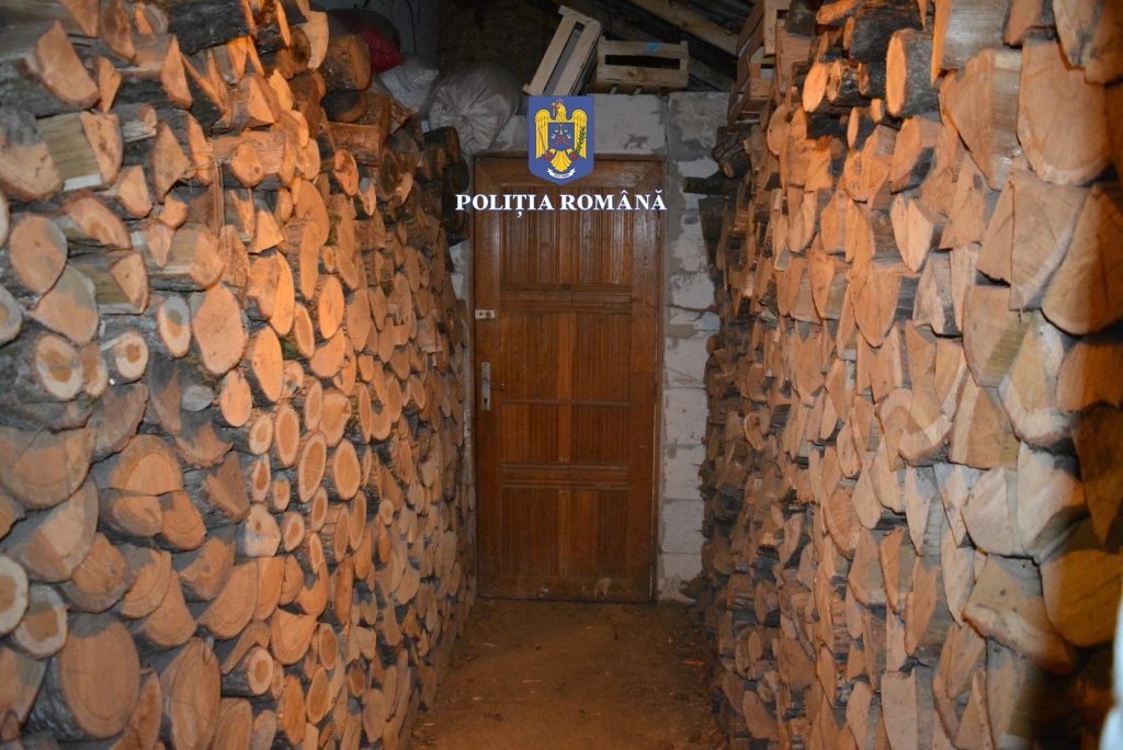Polițiștii din Mureș au reținut doi bărbați pentru tăiere ilegală de arbori